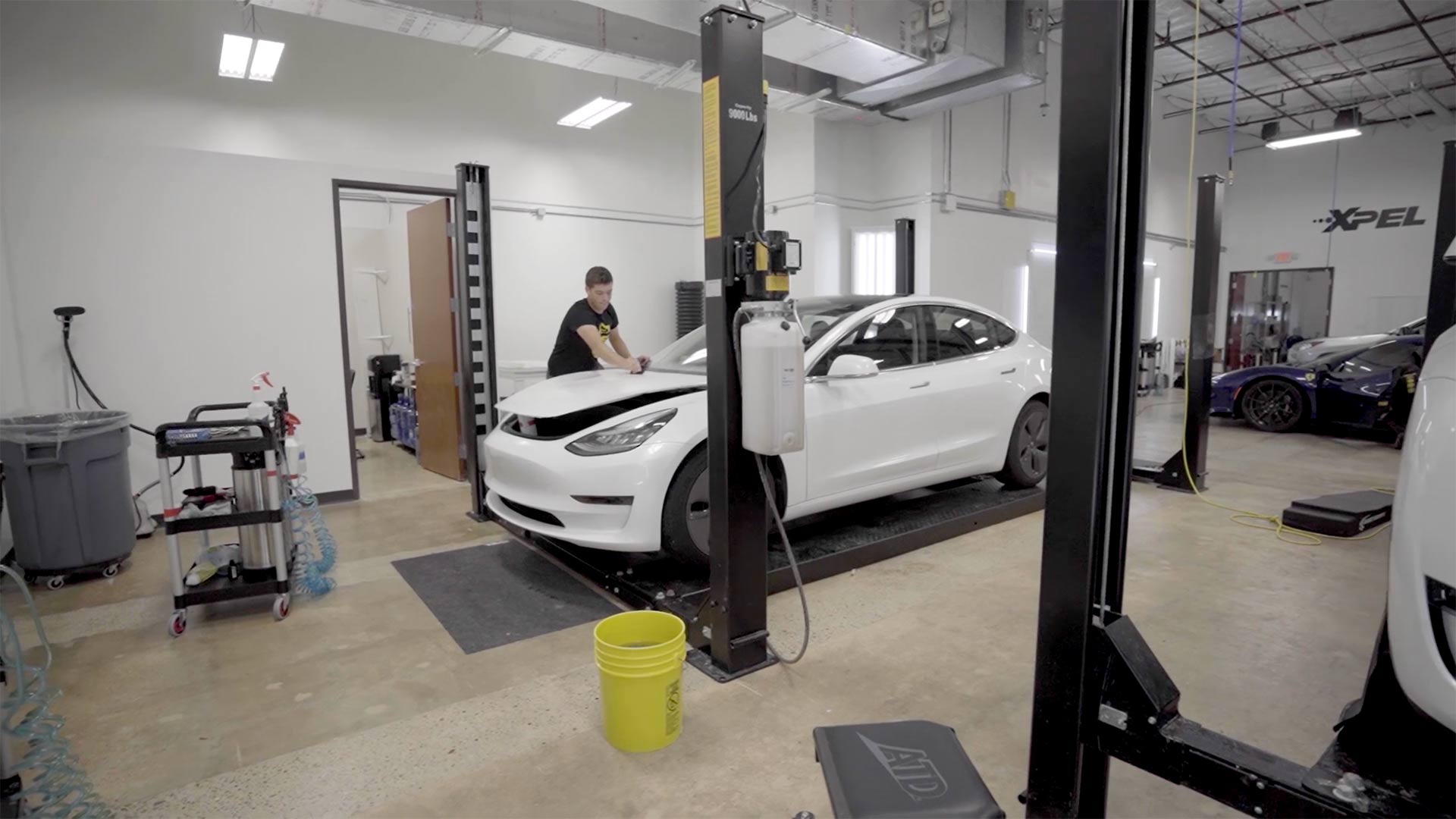 STEALTH PPF install on Tesla Model 3